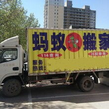 專業、高效、省心——邯鄲市邯山區螞蟻搬家渚河路服務部，您的理想搬家伙伴